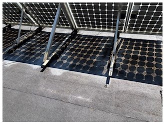 After moss removal 1