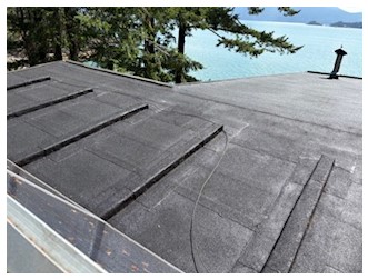 After moss removal 2