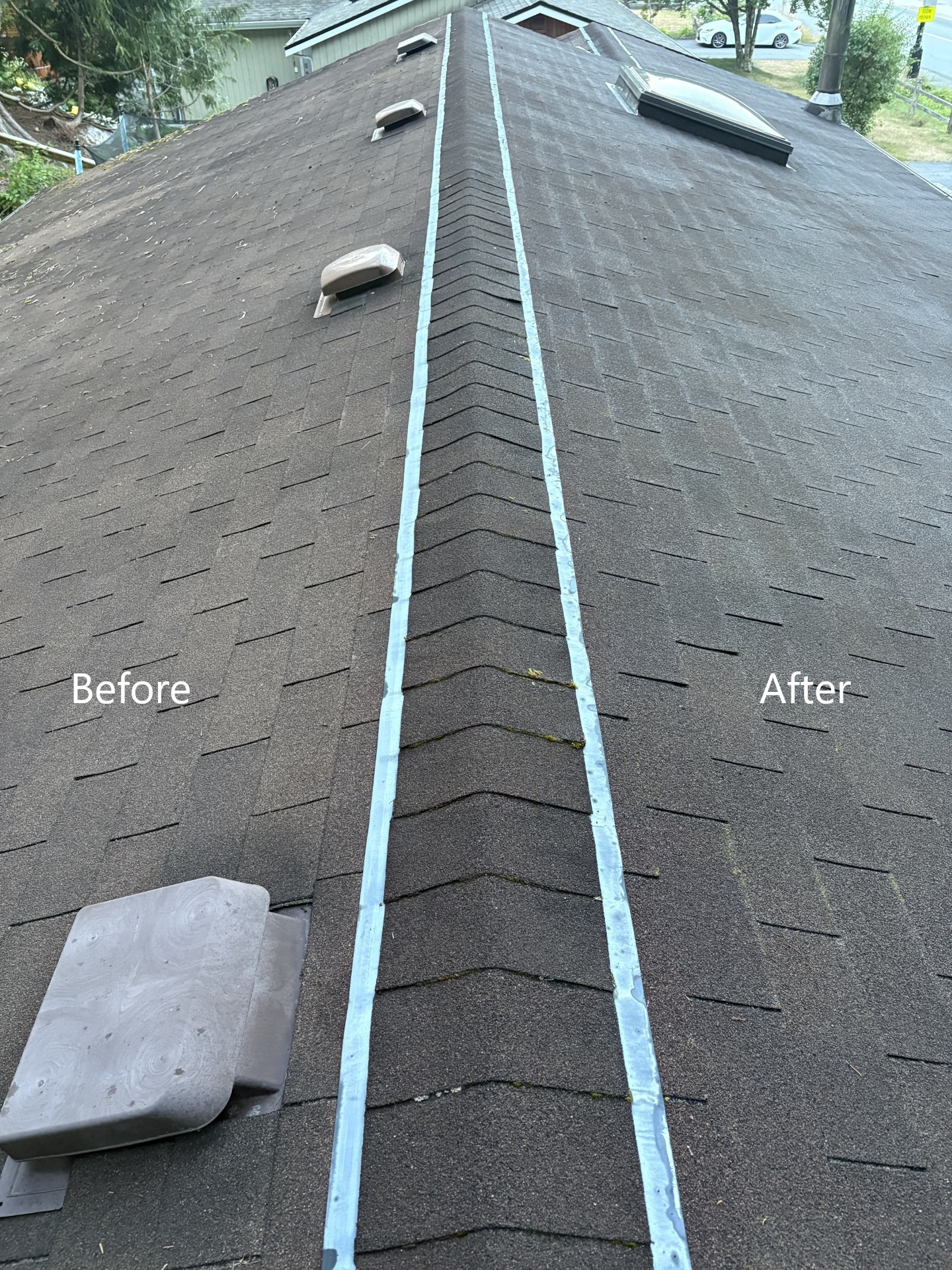 Before and After Roof Rejuvenation