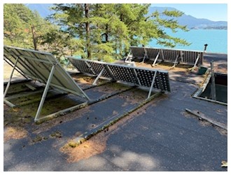 Before moss removal 2